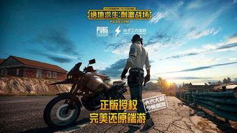 吃鸡三兄弟呆瓜视频大全,吃鸡视频大全欢乐集锦