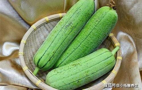 大瓜吃仙人掌视频播放全集,全程笑料横生的奇幻冒险之旅