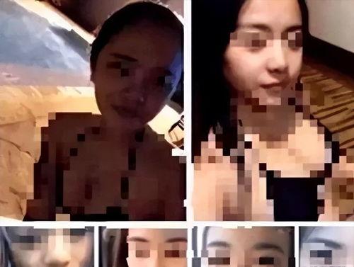 吃瓜三个女的视频大全免费观看,免费观看“吃瓜三女”视频大全，精彩瞬间不容错过