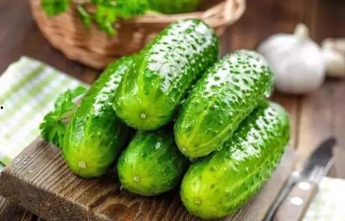 老的生瓜怎么吃最好呢视频,探索最佳食用方法