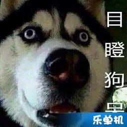 电钻门吃瓜视频,一场网络热议的真相揭秘