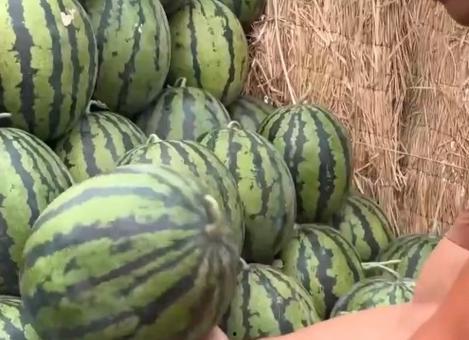 智博吃瓜全过程视频,笑料百出，精彩瞬间回顾