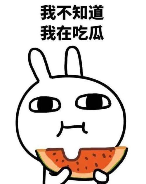 坐等吃瓜完整版视频,一场网络现象的深度剖析