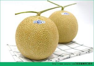 吃哈密瓜的宝宝视频,哈密瓜美味初体验