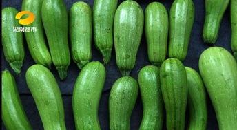 什么瓜不能混种吃呢视频,哪些瓜不能一起吃？