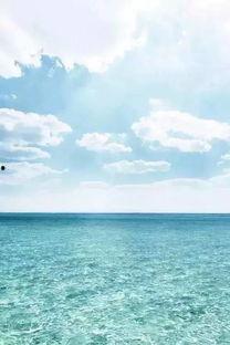 大海吃瓜视频大全