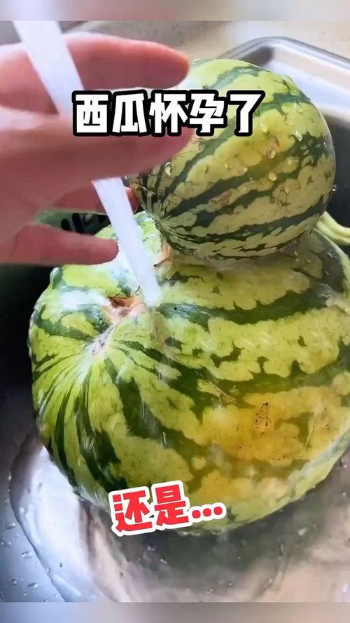 吃瓜搞笑视频帮别人吃,感受欢乐时光