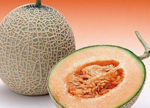 小女孩吃哈密瓜视频声控,小女孩与哈密瓜的甜蜜邂逅