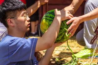 黄河大学吃瓜视频,揭秘校园生活趣味瞬间