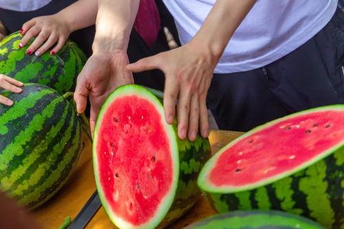 黄河大学吃瓜视频,揭秘校园生活趣味瞬间