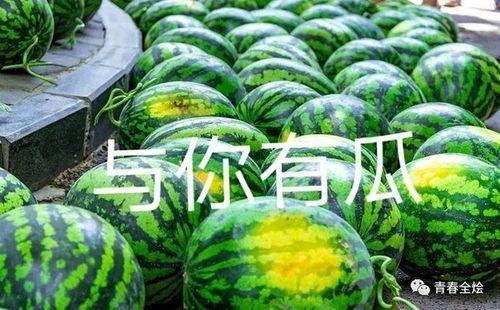 黄河大学吃瓜视频,揭秘校园生活趣味瞬间