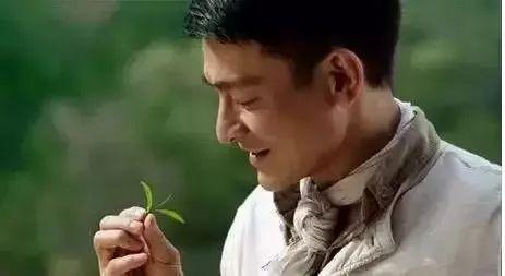 吃瓜姑姑爱喝茶视频大全,茶视频大全精彩回顾