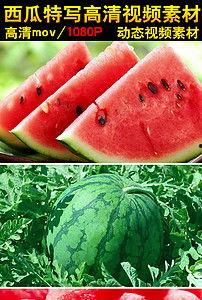 北纬吃瓜视频大全,吃瓜视频大全，带你领略全球热点瞬间