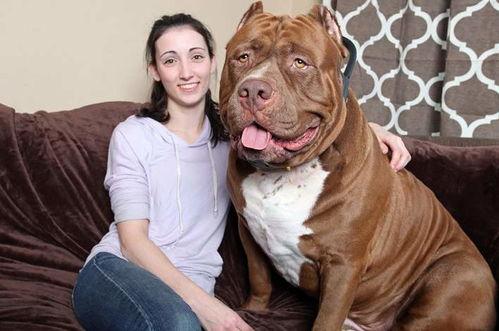 比特大陆吃瓜搞笑视频,笑料百出，瓜田笑果连连