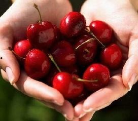 樱桃吃瓜视频大全,趣味横生的欢乐时光回顾