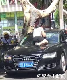 抓小三吃瓜视频最新,最新抓小三吃瓜视频，真相大白！