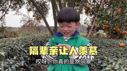 吃瓜反转段子视频大全最新,反转段子视频大盘点