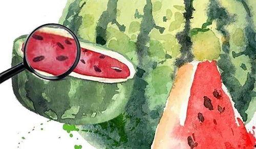 吃瓜视频2020,年度热门事件回顾