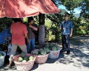 洋县吃瓜群众事件视频播放,网络视频引发的热议与反思