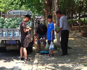 洋县吃瓜群众事件视频播放,网络视频引发的热议与反思