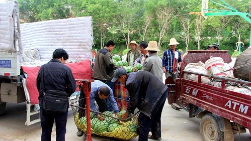 洋县吃瓜群众事件视频播放,网络视频引发的热议与反思