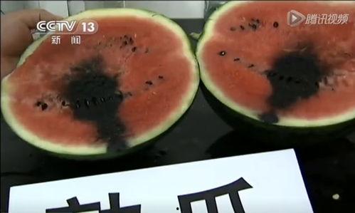 瓜哥视频带你吃瓜