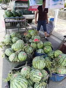 乐都吃瓜事件真相视频