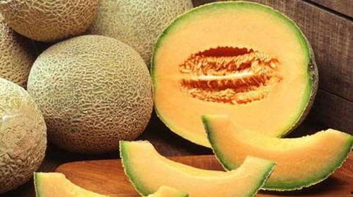 傻瓜吃哈密瓜视频大全集,傻瓜吃瓜视频大全集欢乐回顾