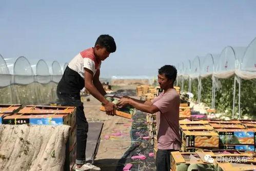 前排吃瓜群众已就位视频,视频揭秘幕后花絮