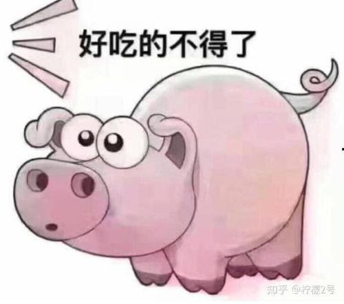 牛吃瓜视频大全马吃瓜,趣味横生视频大全