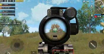 吃鸡游戏主播大瓜视频,揭秘吃鸡游戏幕后精彩瞬间