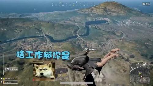 吃鸡游戏主播大瓜视频,揭秘吃鸡游戏幕后精彩瞬间