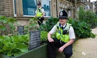 农村小镇吃瓜视频,揭秘农村吃瓜文化的魅力瞬间