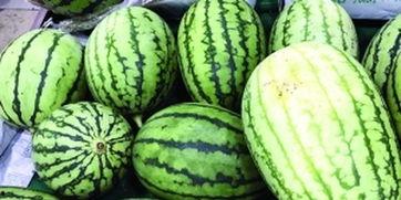 西瓜视频在哪里吃瓜,畅享“吃瓜”盛宴，解锁热门视频新姿势