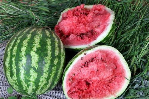 西瓜视频在哪里吃瓜,畅享“吃瓜”盛宴，解锁热门视频新姿势