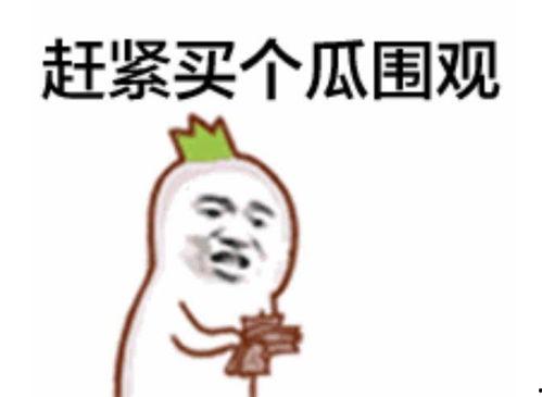 活猪吃瓜群众视频大全,趣味横生的动物奇观大盘点