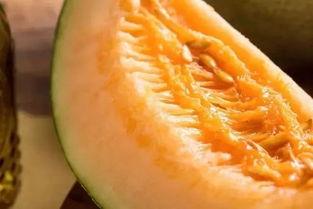 蜜瓜可以蒸着吃么视频讲解