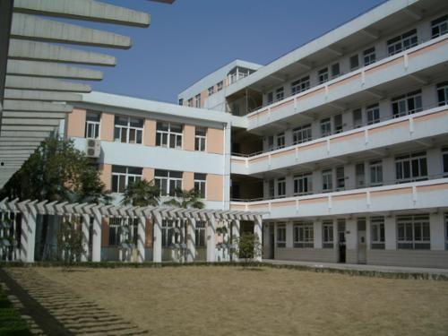 上海市第二中学吃瓜视频,吃瓜视频背后的青春风采