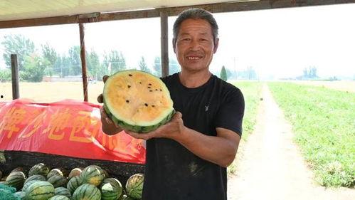 西昌教练吃瓜视频最新,揭秘教练圈层幕后故事