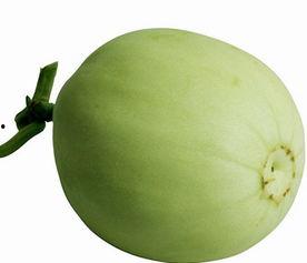 吃梨瓜搞笑女的视频,笑料百出，欢乐无限