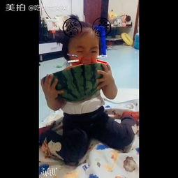 婴儿吃瓜视频完整版,萌态百出，萌化人心