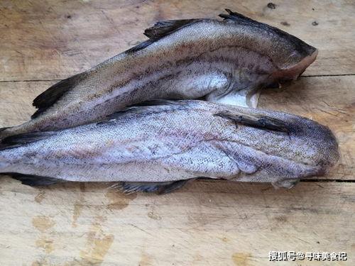 吃长腿八瓜鱼视频大全,视频大全带你领略美味风采