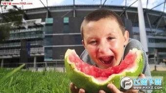 少年们的各种吃瓜视频大全,揭秘校园里的趣味瞬间