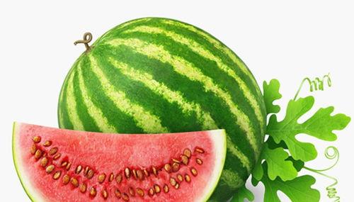 水果藤瓜怎么吃最好呢视频