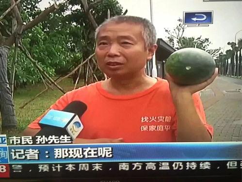 吃瓜群众讲热门事件的视频,揭秘热门事件背后的真相与笑料