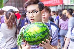 大学生校内吃瓜视频,大学生校内吃瓜视频，揭秘校园生活趣味瞬间