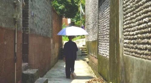 佛山阳台吃瓜事件视频大全,视频回顾与热议焦点