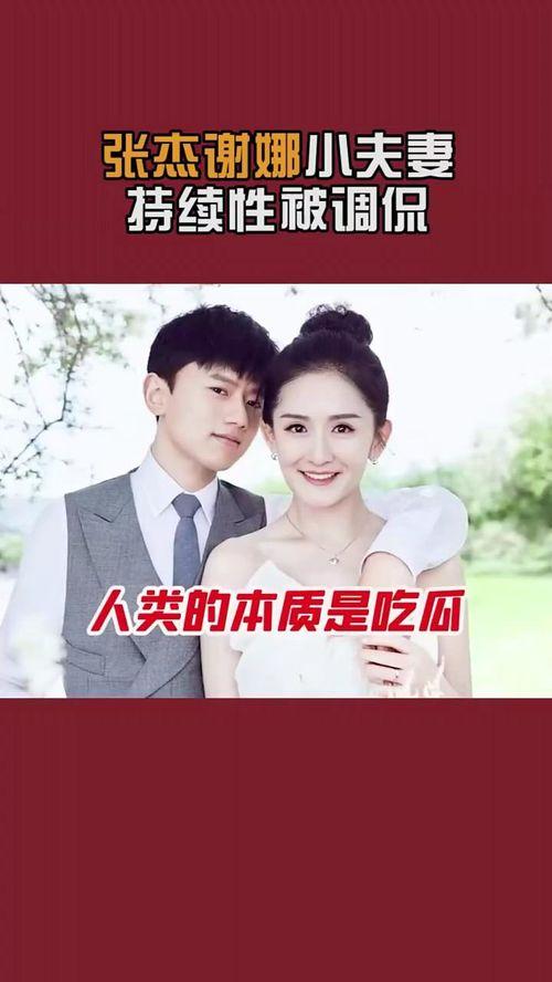 娱乐圈吃瓜谢娜张杰视频