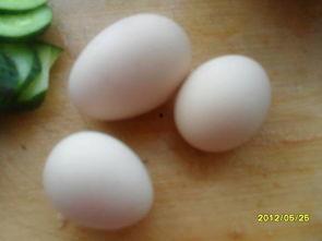 皮球瓜怎么吃才好吃视频,视频教你轻松解锁最佳食用方法