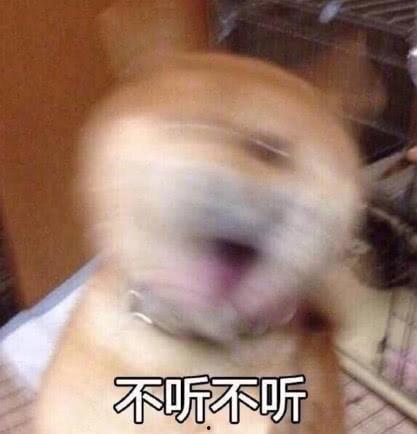 秃崽吃瓜视频链接下载免费,揭秘热门视频背后的趣味故事